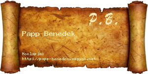 Papp Benedek névjegykártya